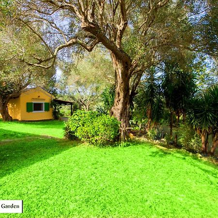 Appartamento House In The Olive Garden Ágios Ioánnis Esterno foto