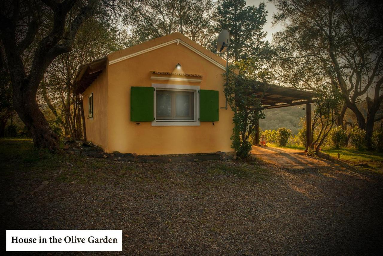 Appartamento House In The Olive Garden Ágios Ioánnis Esterno foto