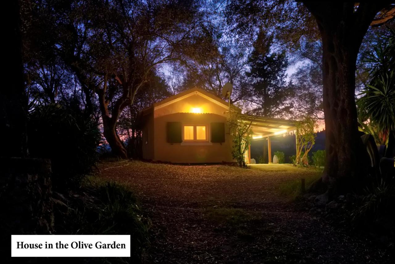 Appartamento House In The Olive Garden Ágios Ioánnis Esterno foto