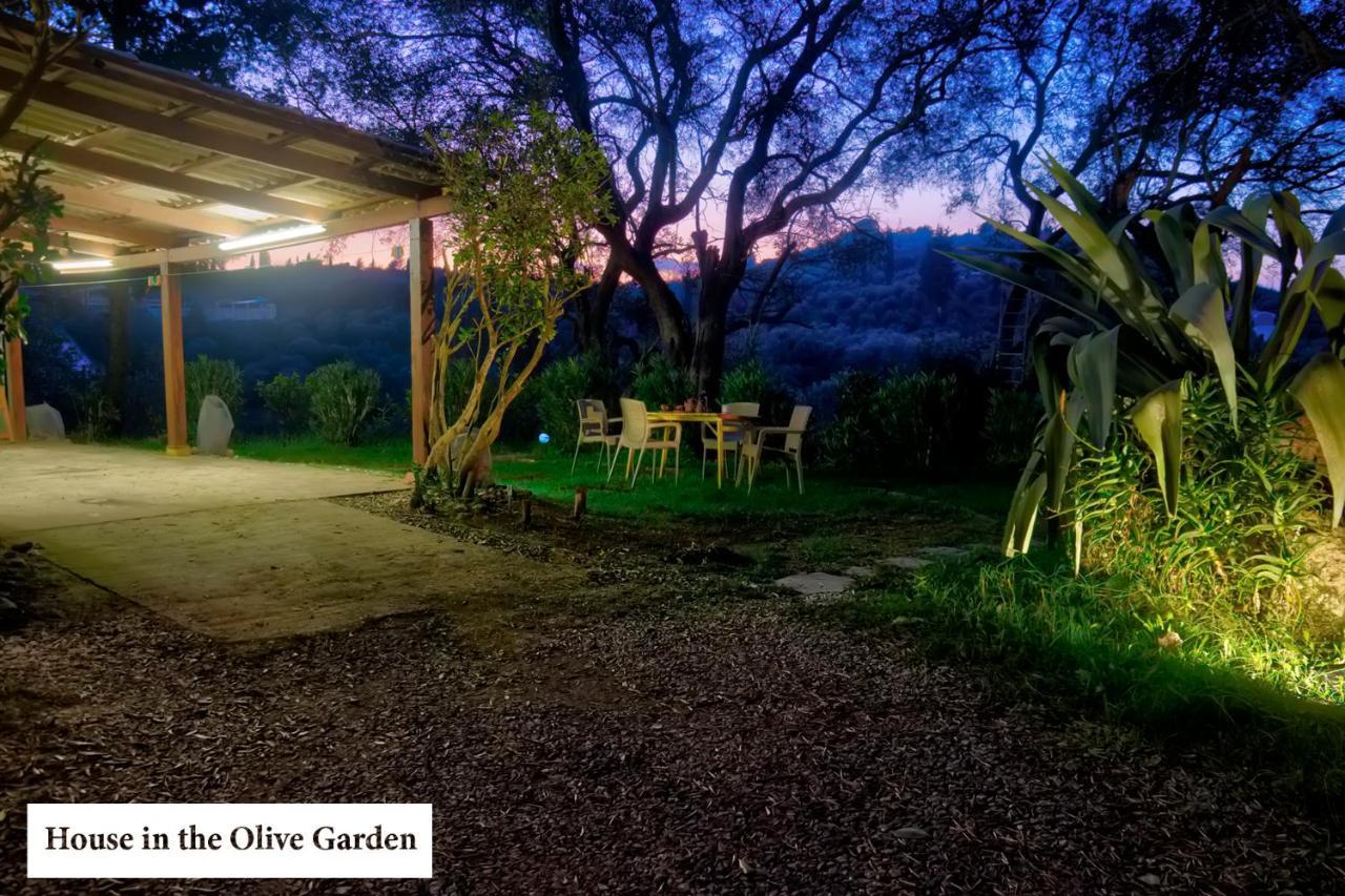 Appartamento House In The Olive Garden Ágios Ioánnis Esterno foto
