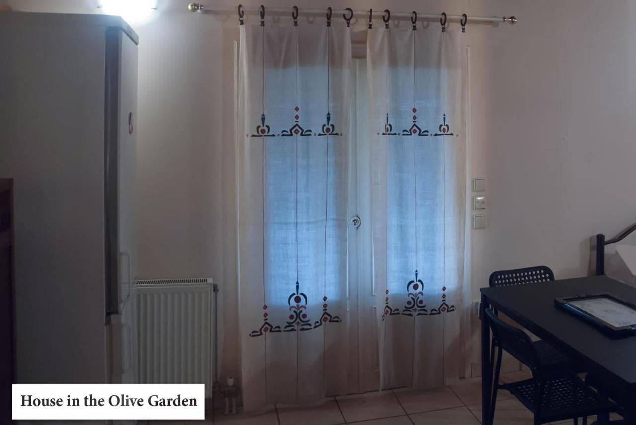 Appartamento House In The Olive Garden Ágios Ioánnis Esterno foto