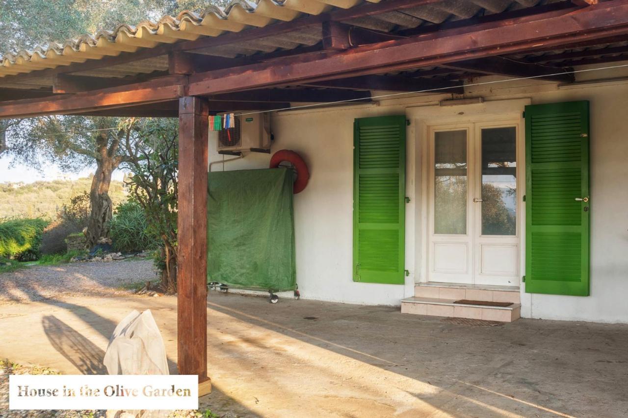 Appartamento House In The Olive Garden Ágios Ioánnis Esterno foto