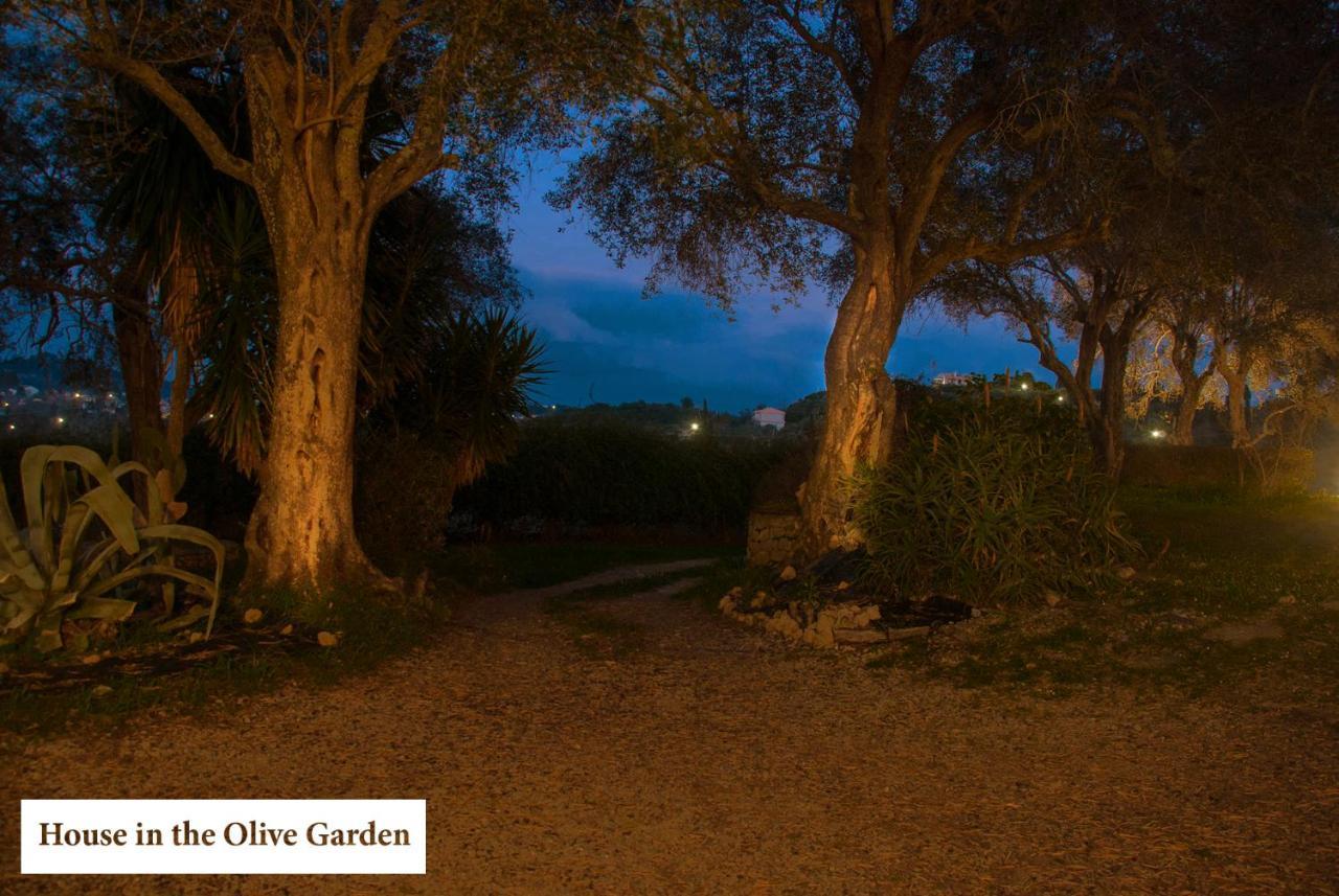 Appartamento House In The Olive Garden Ágios Ioánnis Esterno foto
