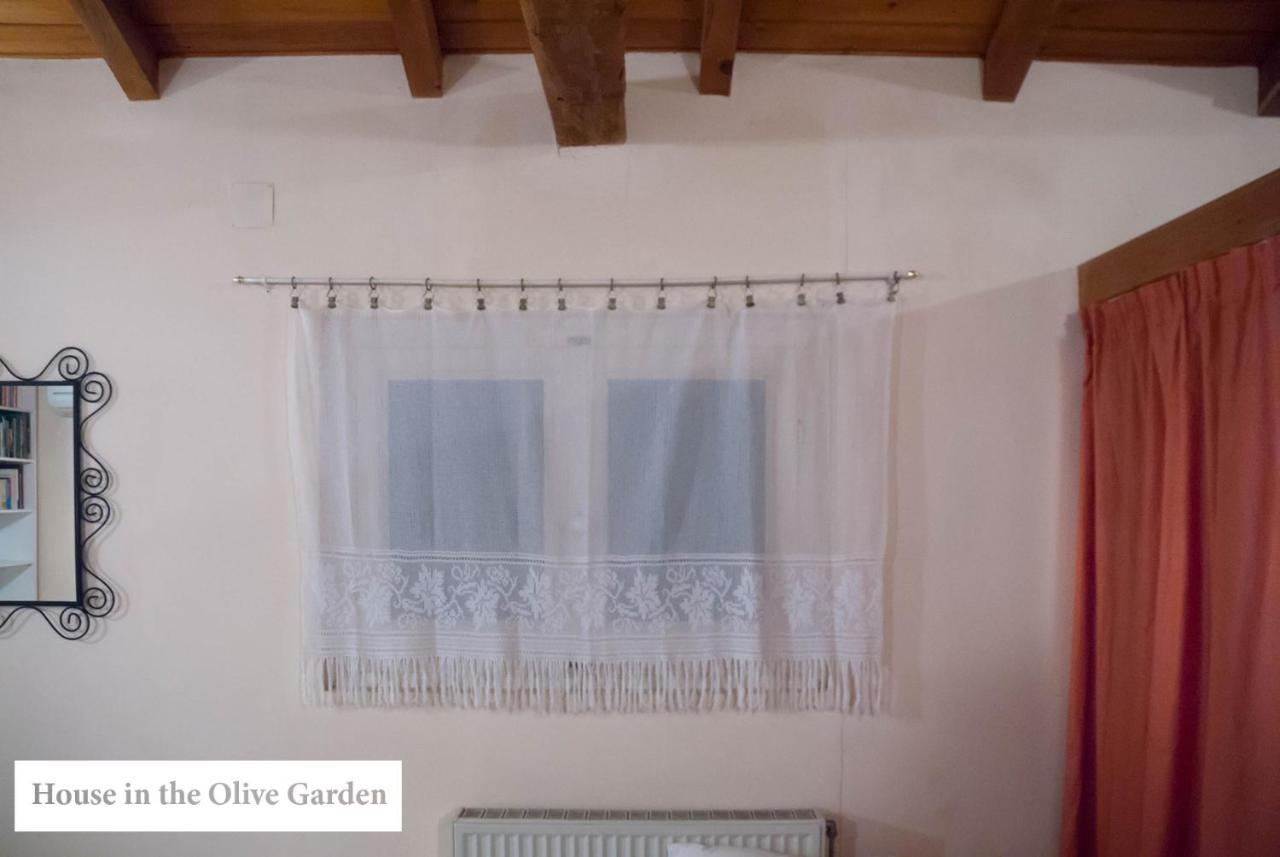 Appartamento House In The Olive Garden Ágios Ioánnis Esterno foto
