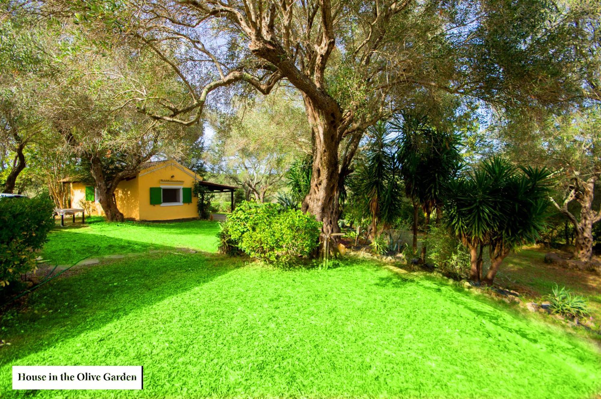 Appartamento House In The Olive Garden Ágios Ioánnis Esterno foto