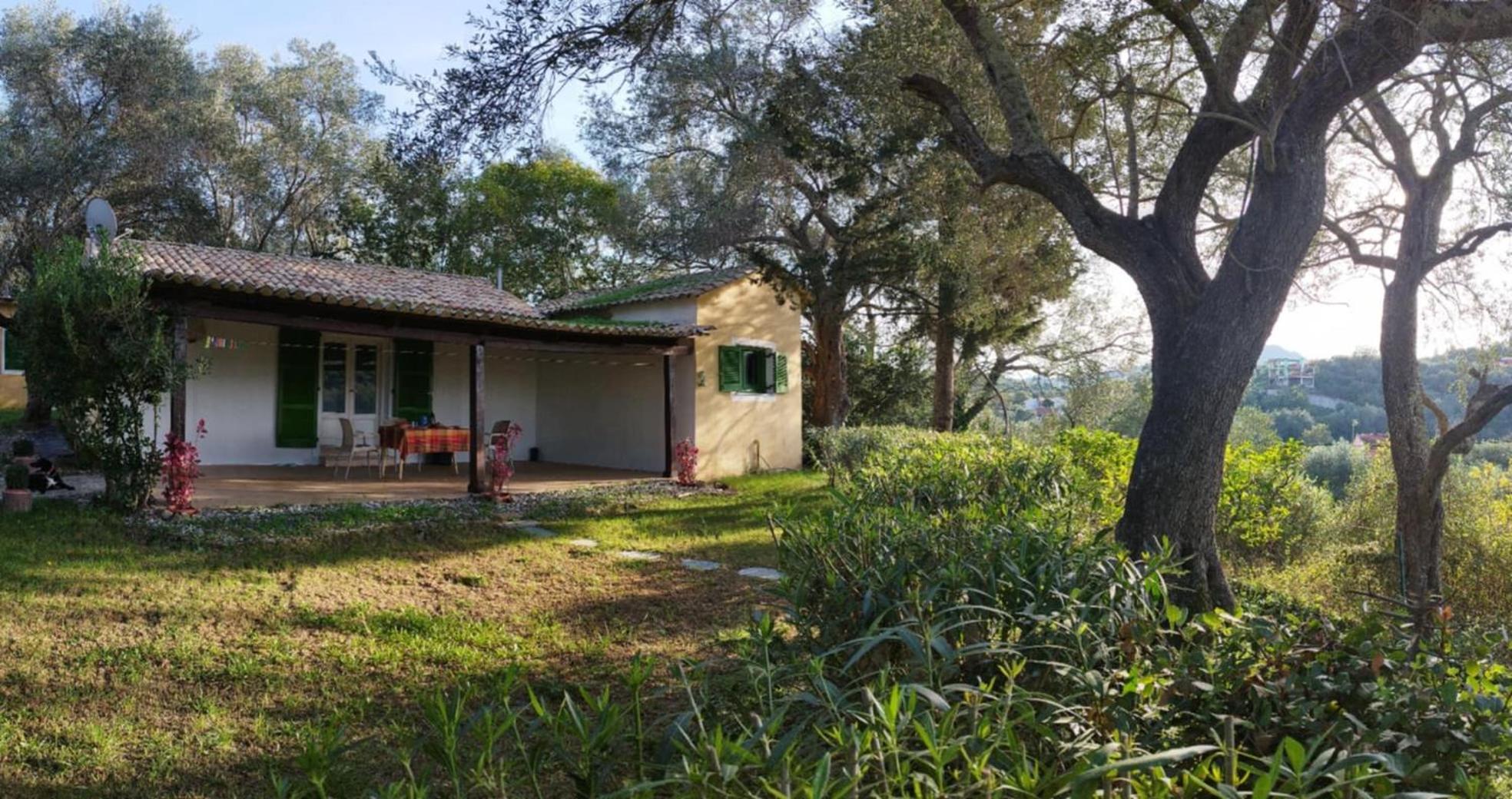 Appartamento House In The Olive Garden Ágios Ioánnis Esterno foto