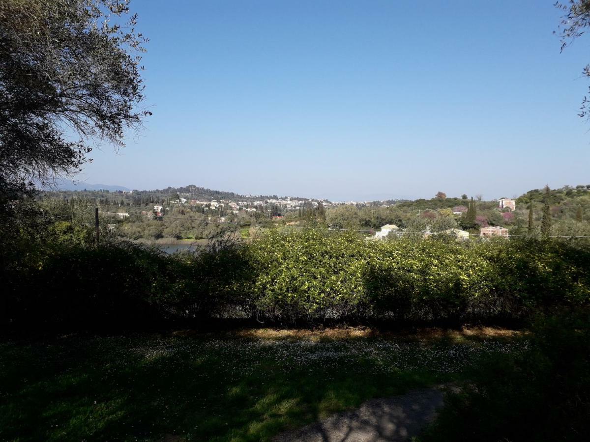 Appartamento House In The Olive Garden Ágios Ioánnis Esterno foto