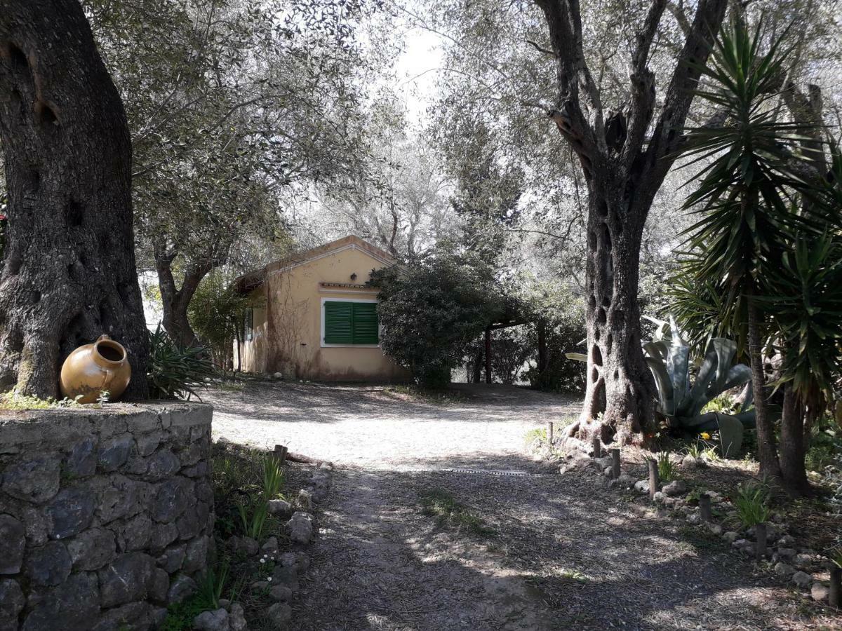 Appartamento House In The Olive Garden Ágios Ioánnis Esterno foto