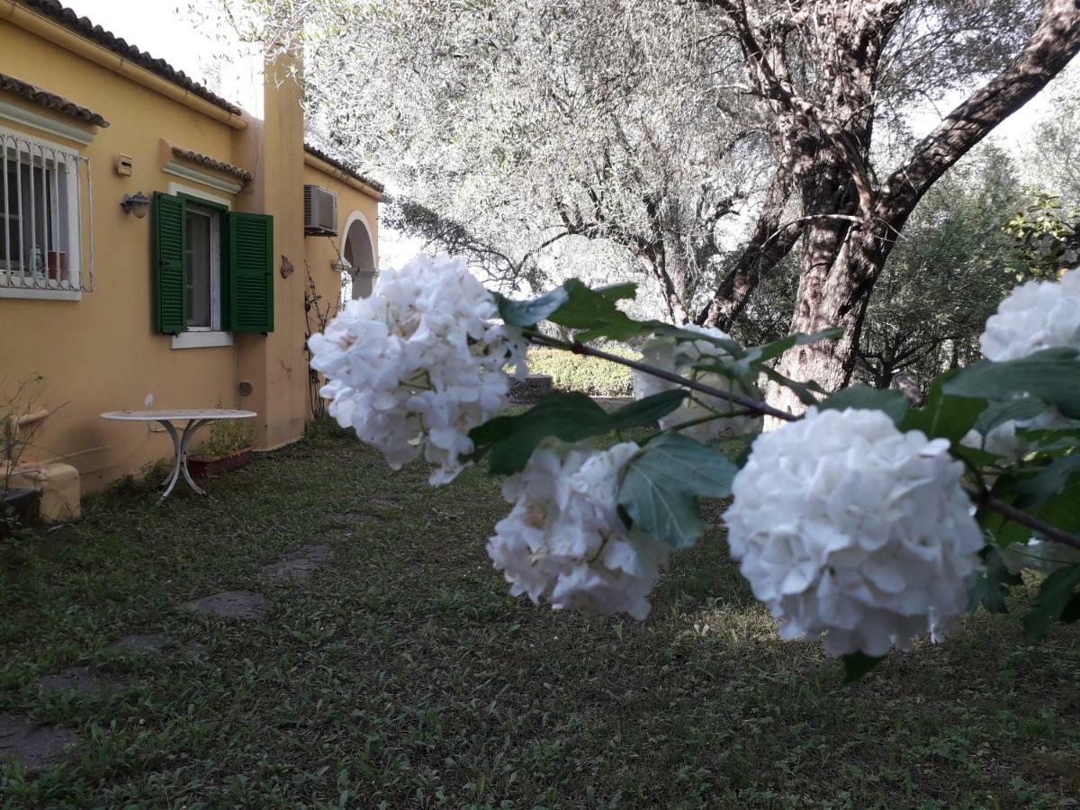 Appartamento House In The Olive Garden Ágios Ioánnis Esterno foto