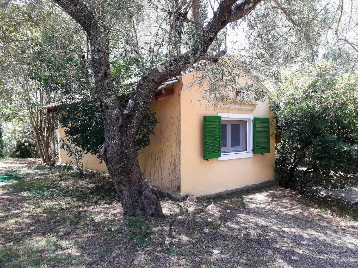 Appartamento House In The Olive Garden Ágios Ioánnis Esterno foto